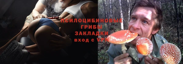 герыч Бронницы
