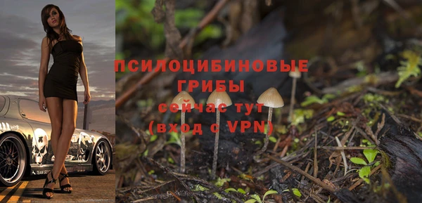 герыч Бронницы